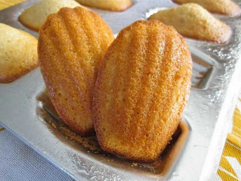 Макарон "магадор" по рецепту пьера эрме – mary bakery