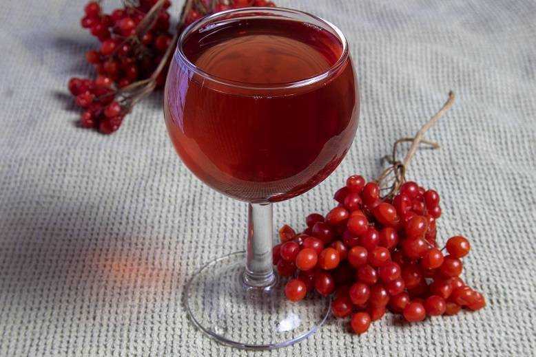 8 простых рецептов приготовления вина из черемухи в домашних условиях
