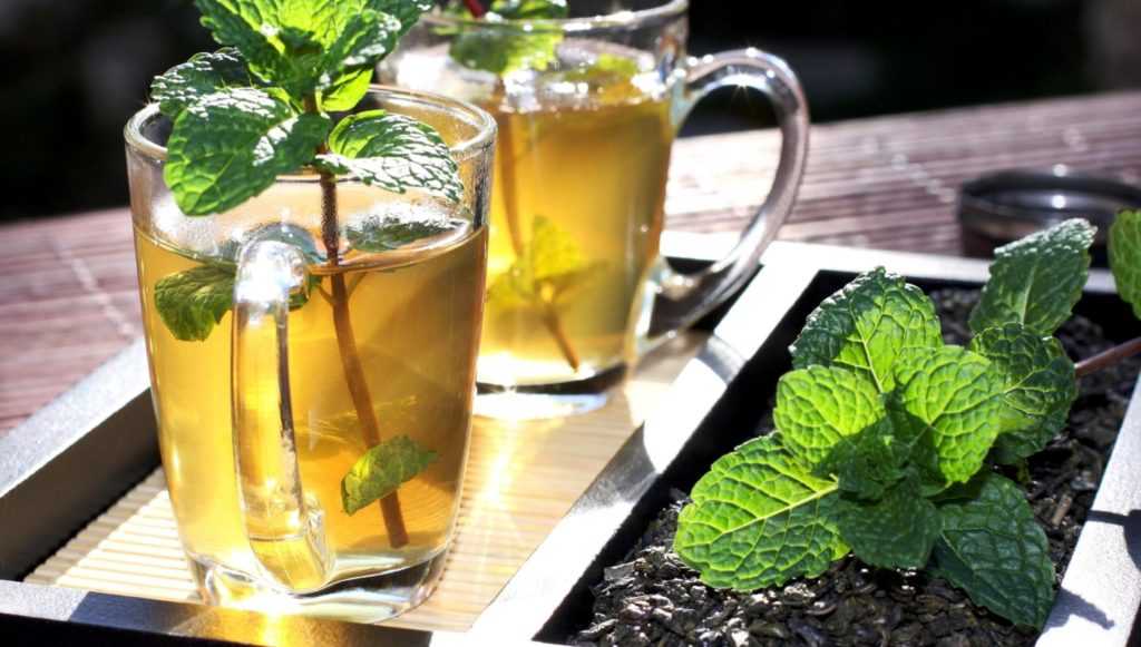 7 рецептов мятного чая для отличного самочувствия  