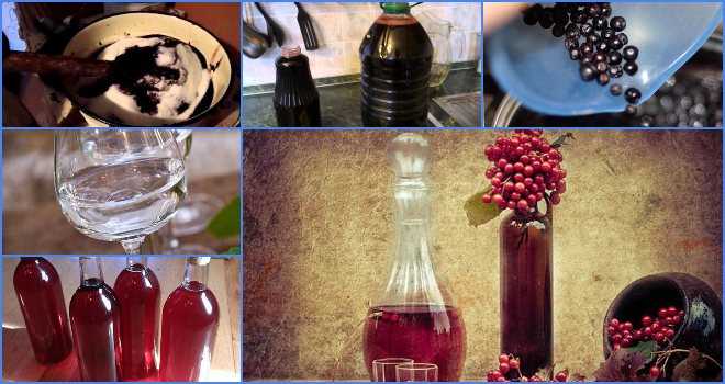 Домашнее вино из красной рябины рецепт с фото - 1000.menu