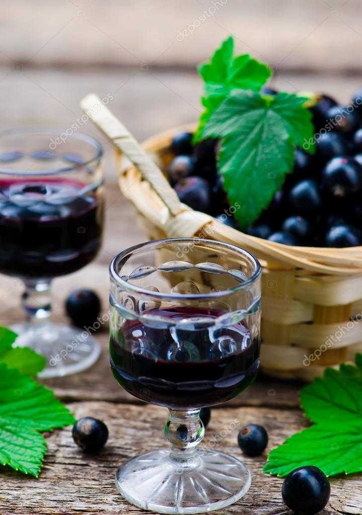Вино из черной смородины в домашних условиях: простой рецепт с фото