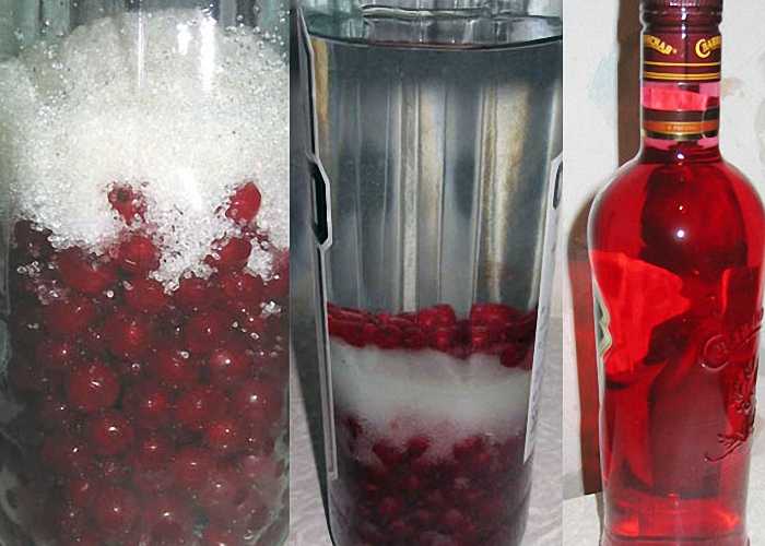 Настойка на смородине на спирту - рецепт из свежей и замороженной ягоды