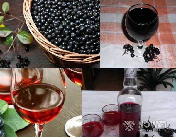 Рецепт вина из черноплодной рябины в домашних условиях