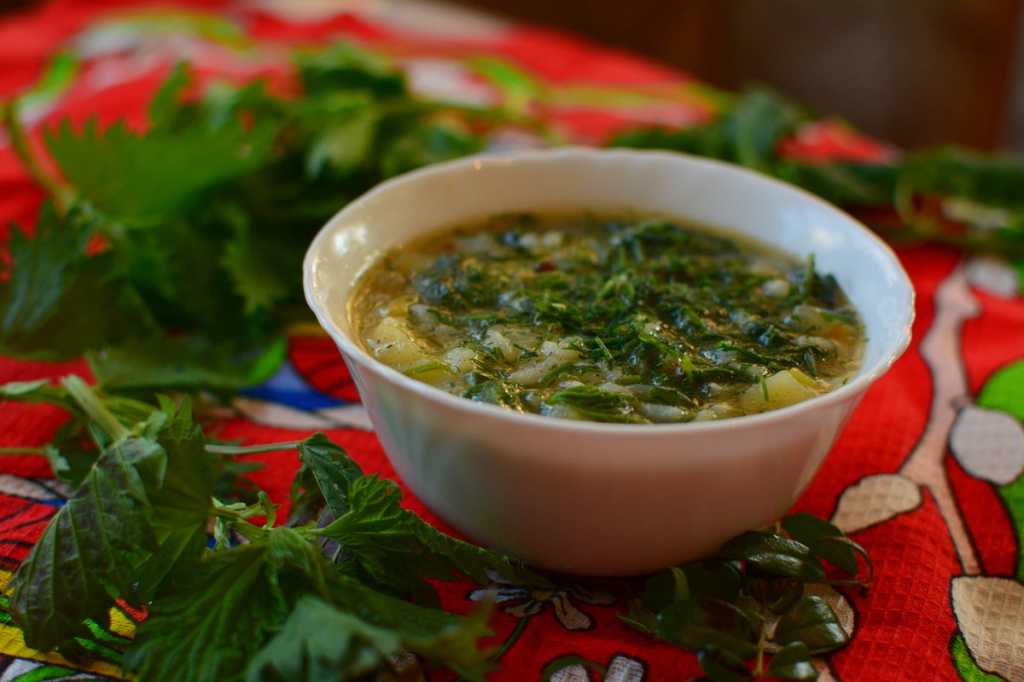 Как приготовить зелёные щи из молодой крапивы — 5 самых вкусных и простых домашних рецептов