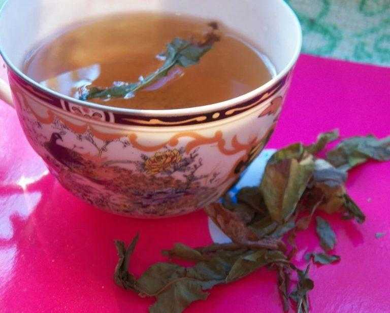 Чай с кардамоном: польза и вред, как заваривать, сколько добавлять, рецепт