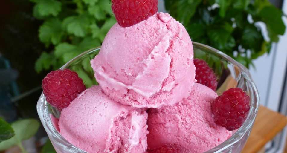 Мороженое из творога с ягодами жимолости домашнее рецепт с фото пошагово - 1000.menu