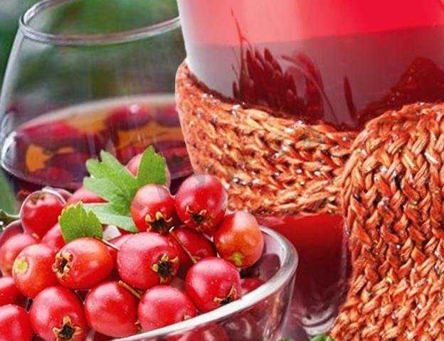 Чай из боярышника: полезные свойства, рецепты народной медицины
