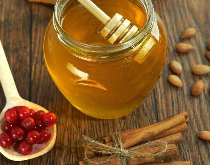 Способы приготовления калины с медом и лимоном от давления