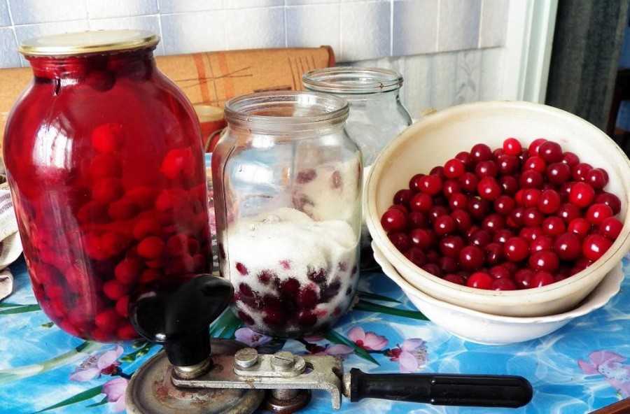 Компот из черной смородины: рецепт из замороженных ягод с вишней на зиму, как сварить смородиновый напиток с малиной
