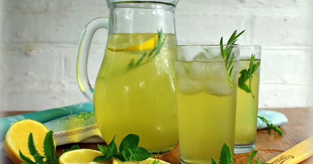 Лимонад тархун - 28 рецептов: лимонад | foodini