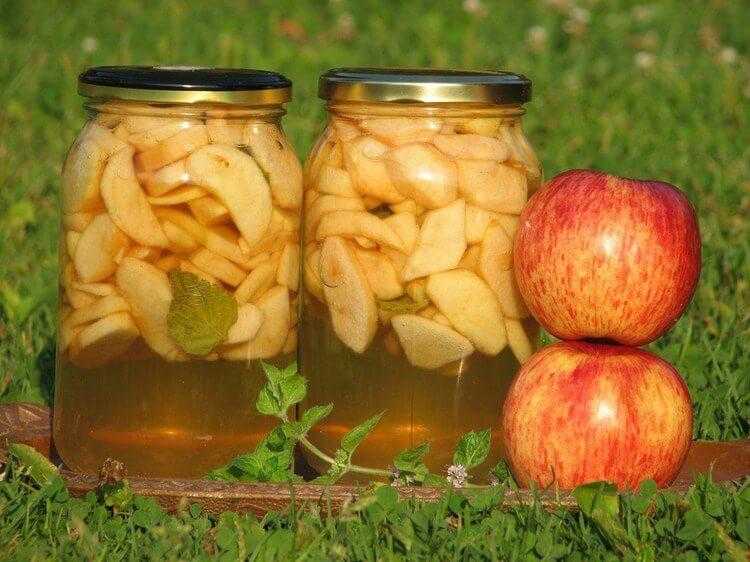 Целебная настойка из яблок. домашняя настойка из яблок на водке (самогоне или спирту)
