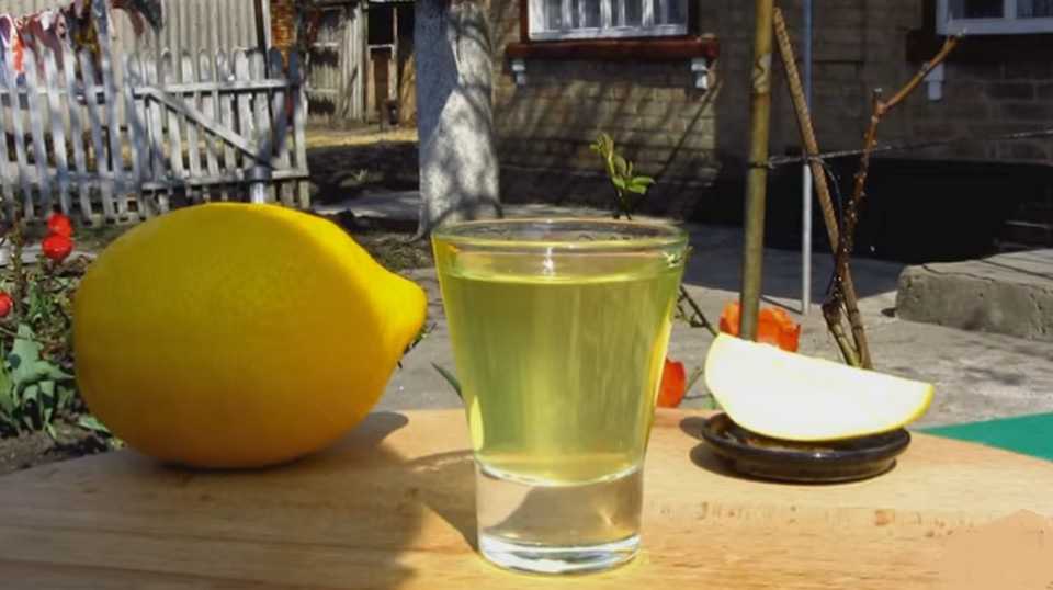 Как приготовить лимонную водку в домашних условиях