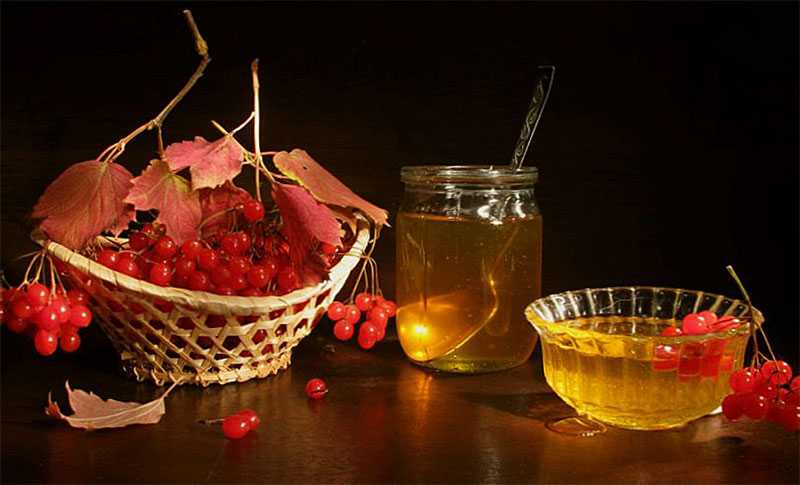 Как правильно приготовить калину с медом и лимоном: лекарство от давления и сердечных заболеваний