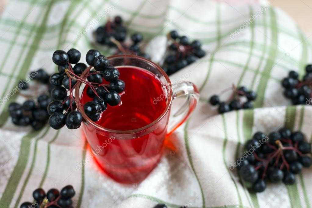 Вино из черноплодной рябины — простой рецепт божественного напитка