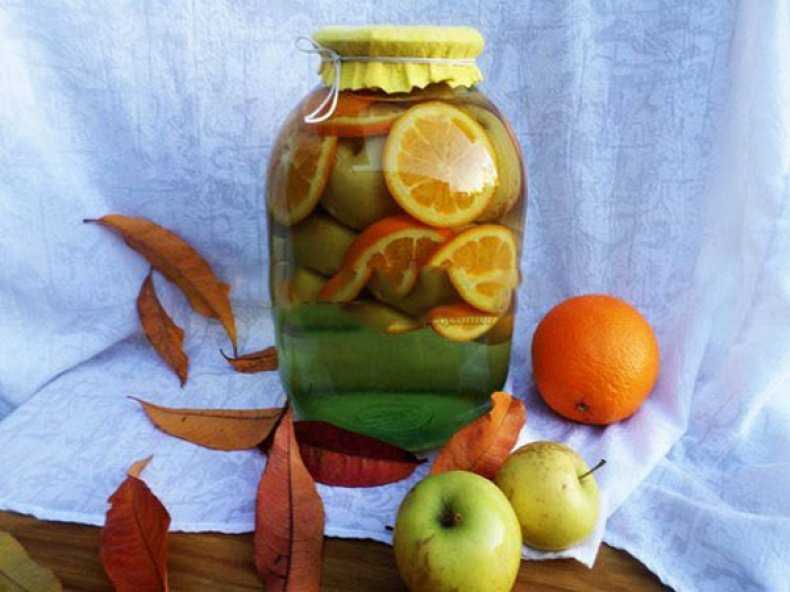 Как приготовить компот из яблок и апельсинов: поиск по ингредиентам, советы, отзывы, пошаговые фото, подсчет калорий, удобная печать, изменение порций, похожие рецепты