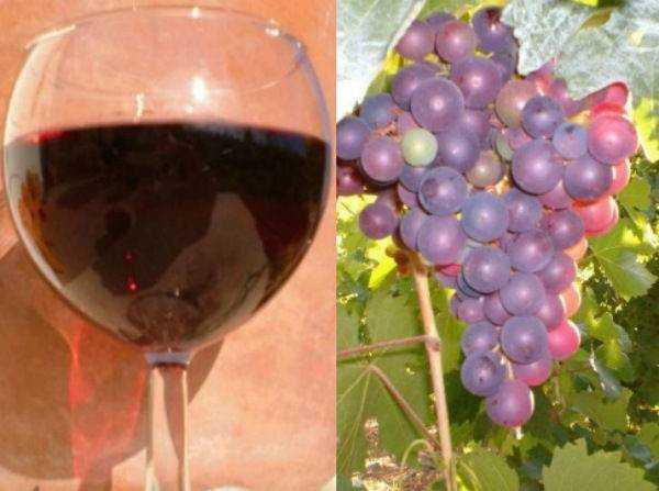 Вино виноградное в домашних условиях простой рецепт