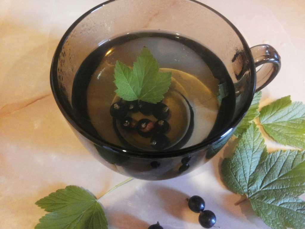 Ферментированный чай из листьев смородины в домашних условиях