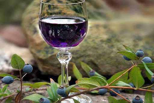 Вино из голубики: 2 рецепта в домашних условиях