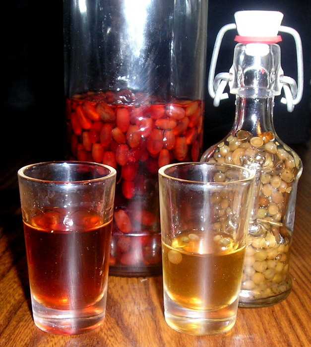 Настойка на кедровых орешках на спирту: 8 рецептов, лечебные свойства, применение