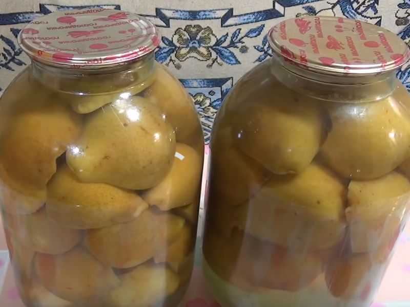 Компоты из груш на зиму: 11 рецептов на 3 литровую банку