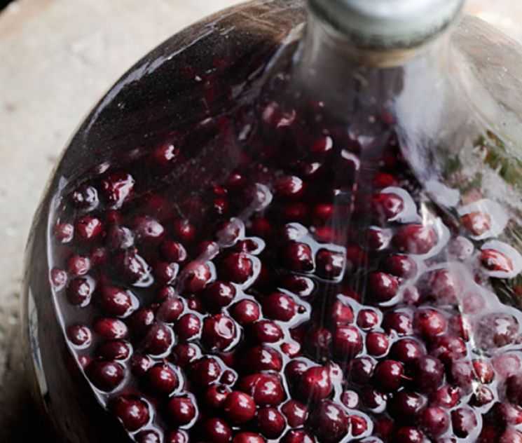 Как приготовить настойку вишни на водке с косточками: поиск по ингредиентам, советы, отзывы, пошаговые фото, подсчет калорий, изменение порций, похожие рецепты