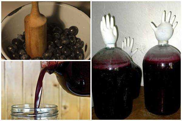 Вино из винограда: 10 рецептов в домашних условиях