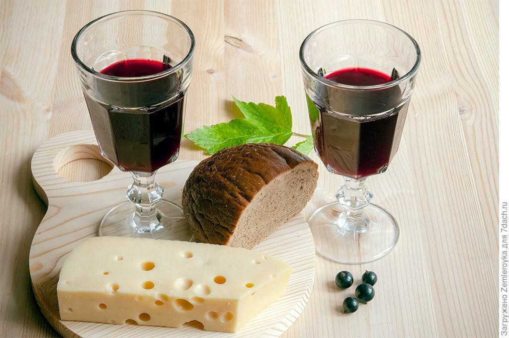 Вино из смородины в домашних условиях – простые рецепты смородинового вина