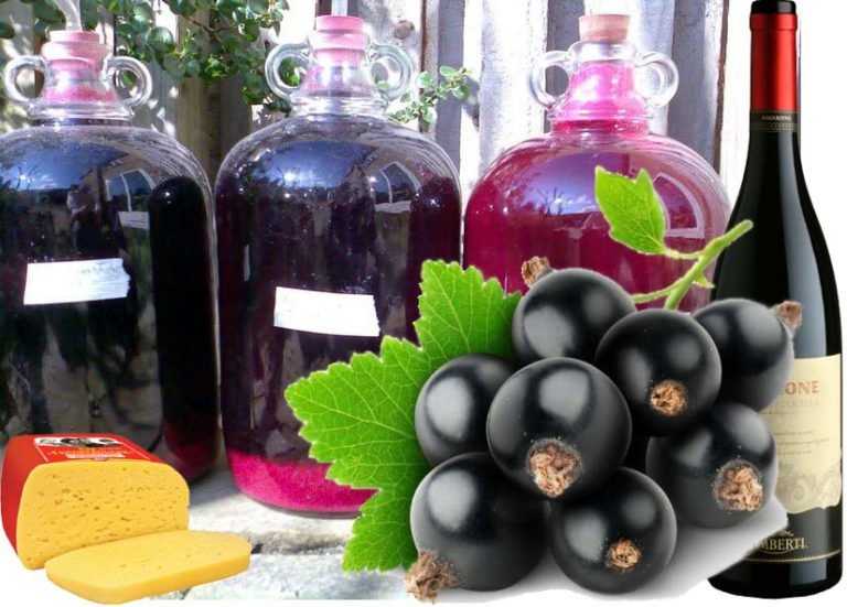 Как приготовить вино из смородины без дрожжей: поиск по ингредиентам, советы, отзывы, пошаговые фото, подсчет калорий, удобная печать, изменение порций, похожие рецепты