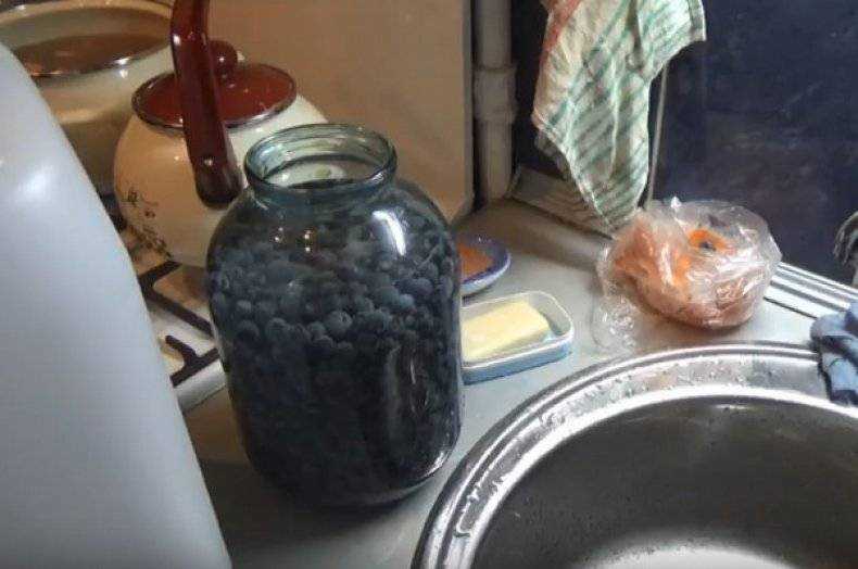 Чача без дрожжей из винограда и сахара в домашних условиях: как сделать, а также рецепты с секретами приготовления