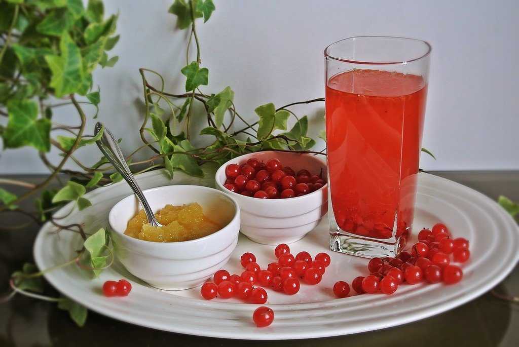Зеленый чай с ягодами годжи рецепт с фото - 1000.menu