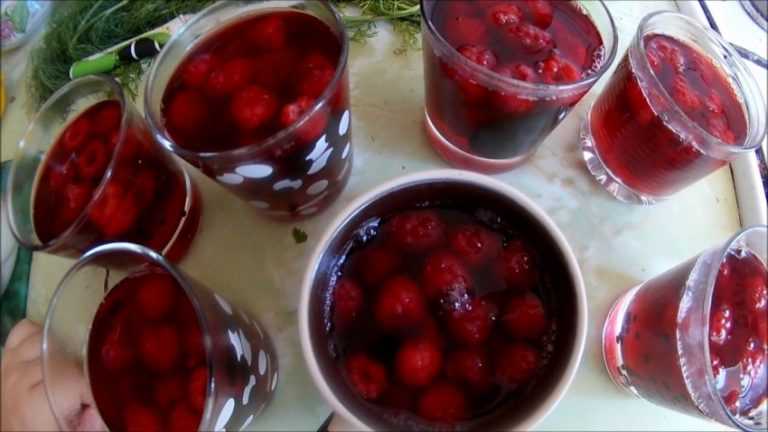 Желе из вишни на зиму: простой пошаговый рецепт приготовления, правила хранения