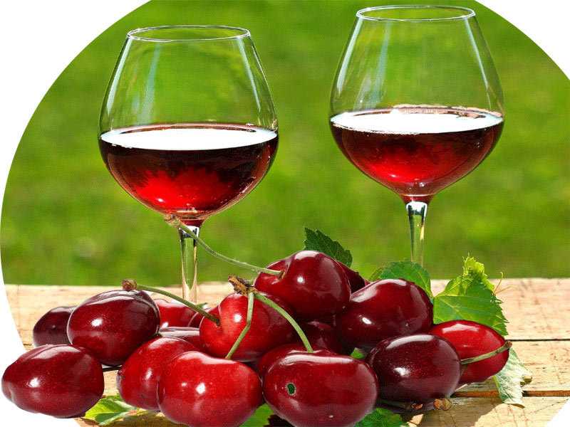 Домашнее черешневое вино – технология в деталях. вино из черешни в домашних условиях с малиной, вишней, смородиной