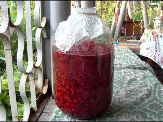 Как приготовить вино, настойку и наливку из замороженных ягод в домашних условиях?