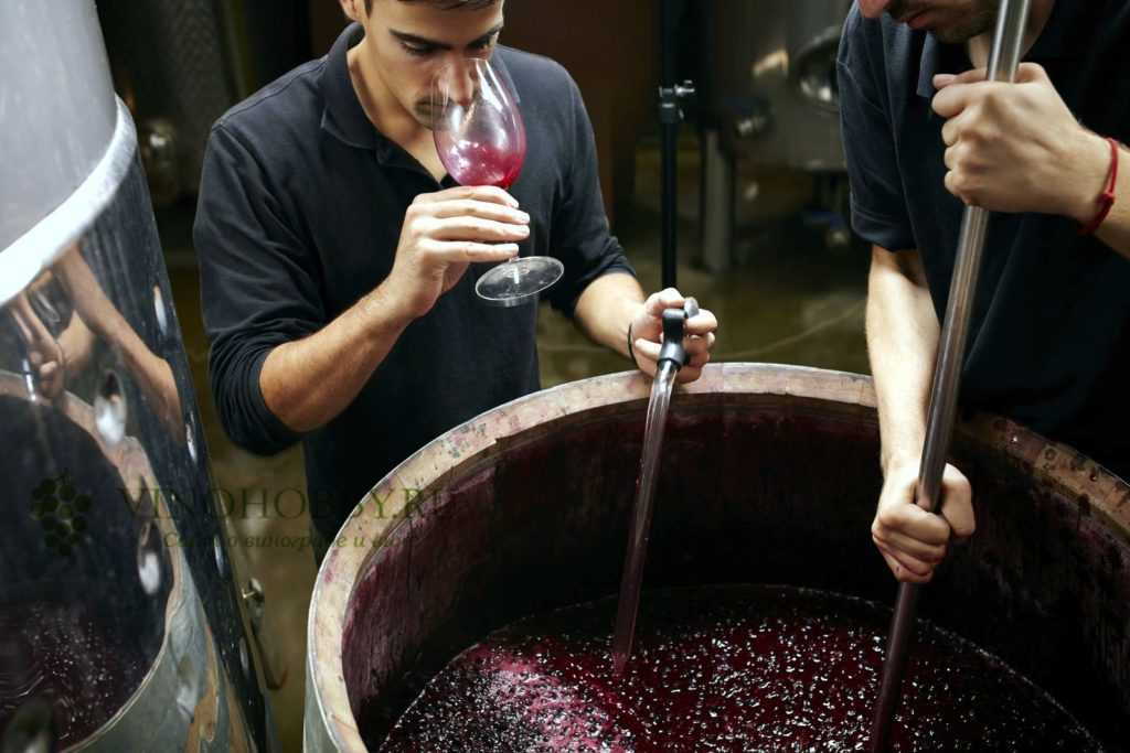 Как приготовить вино из виноградного жмыха: поиск по ингредиентам, советы, отзывы, пошаговые фото, подсчет калорий, удобная печать, изменение порций, похожие рецепты