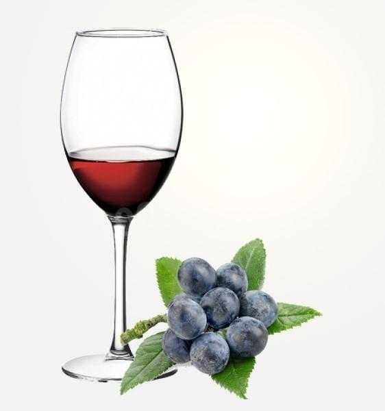 Домашнее вино из терна: простой рецепт приготовления, как сделать в домашних условиях