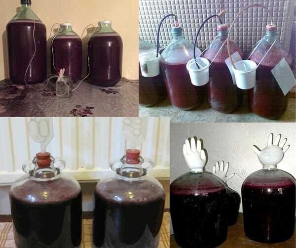 Как сделать вино из ирги без дрожжей дома