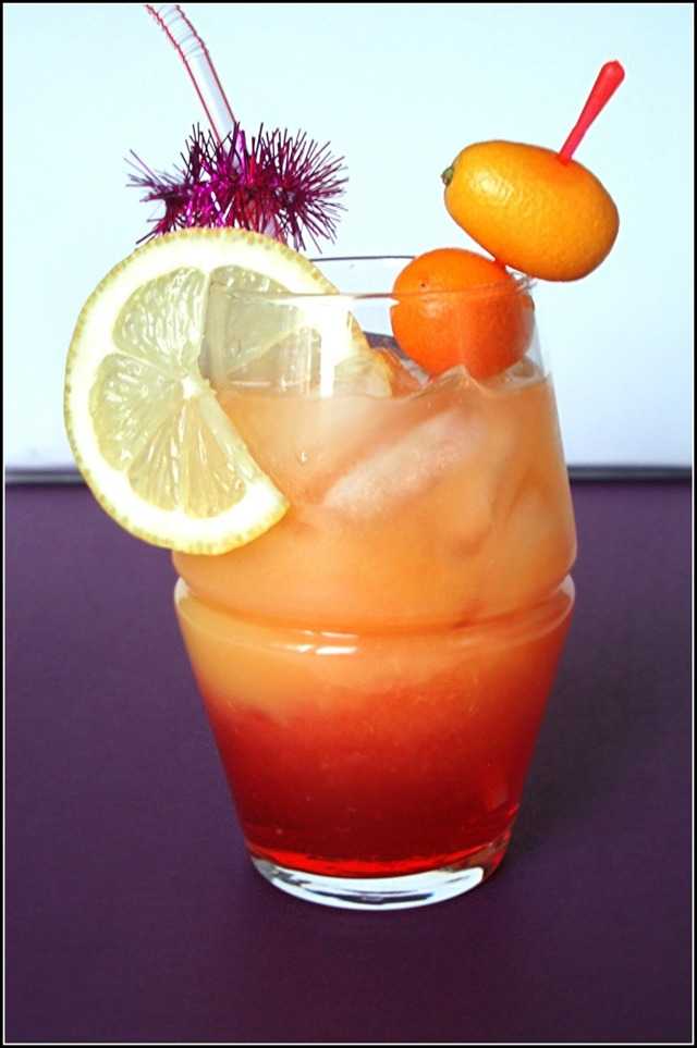 Амаретто с абрикосовый вкусом, характеристики напитка и виды