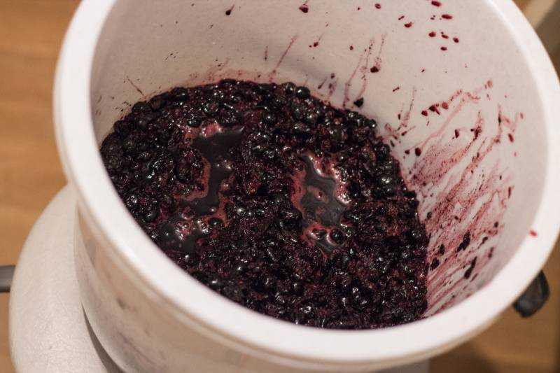 Как сделать своими руками вино из черноплодной рябины