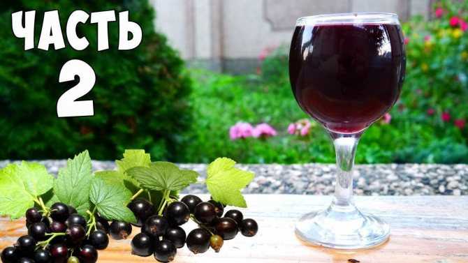 Рецепты домашних вин из черной и красной смородины