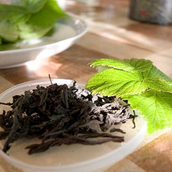 Малиновый чай: лучшие рецепты, польза и вред