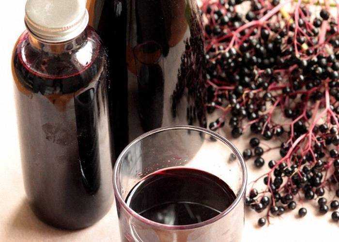 Настойка из черной рябины ⋆ рецепты домашнего алкоголя