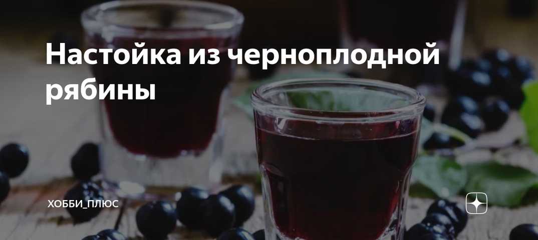 Настойка из черной смородины - рецепты на водке, на спирту и на самогоне