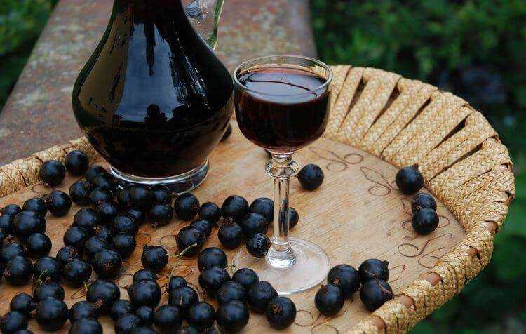Вино из белой и красной смородины в домашних условиях простой рецепт | блог кулинара