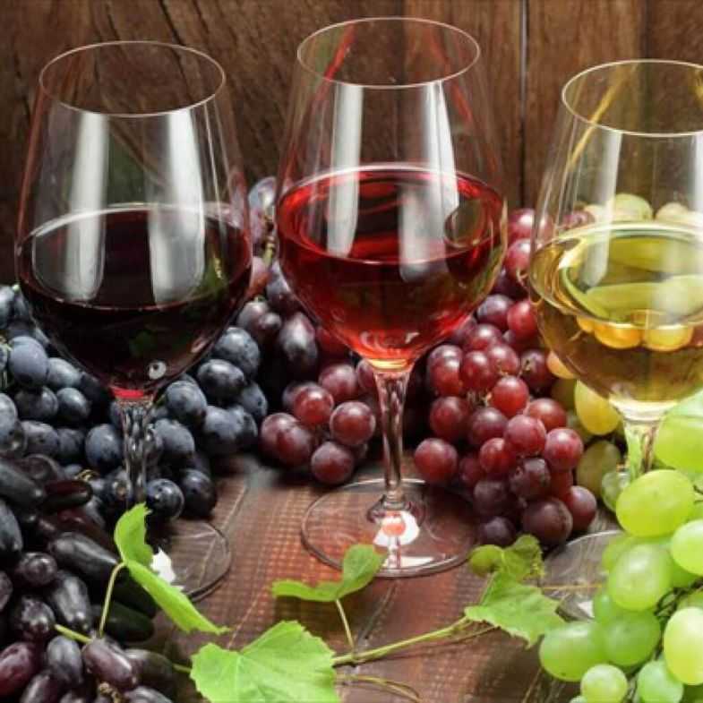 Домашнее плодово-ягодное вино: технология и рецепты | good-tips.pro