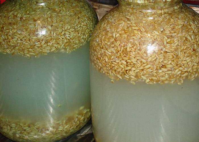 Рецепт браги на пшенице без дрожжей для самогона
