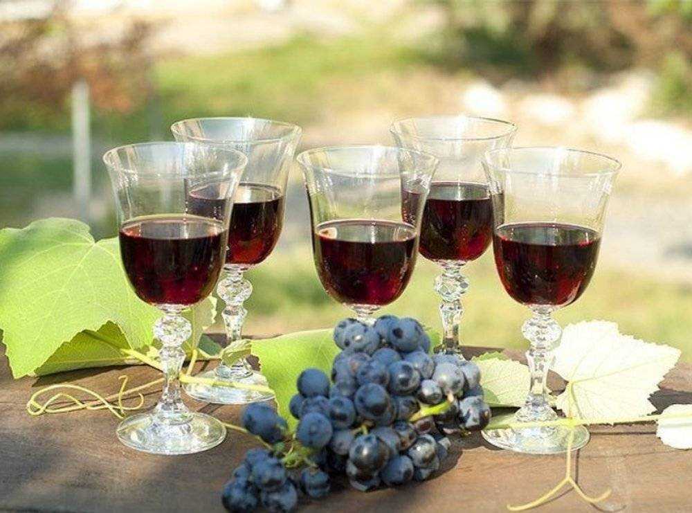 Виноградное вино: рецепты в домашних условиях