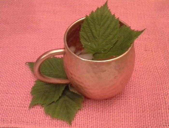 Чай из листьев малины: как сделать полезный отвар в домашних условиях, как заваривать, полезные свойства