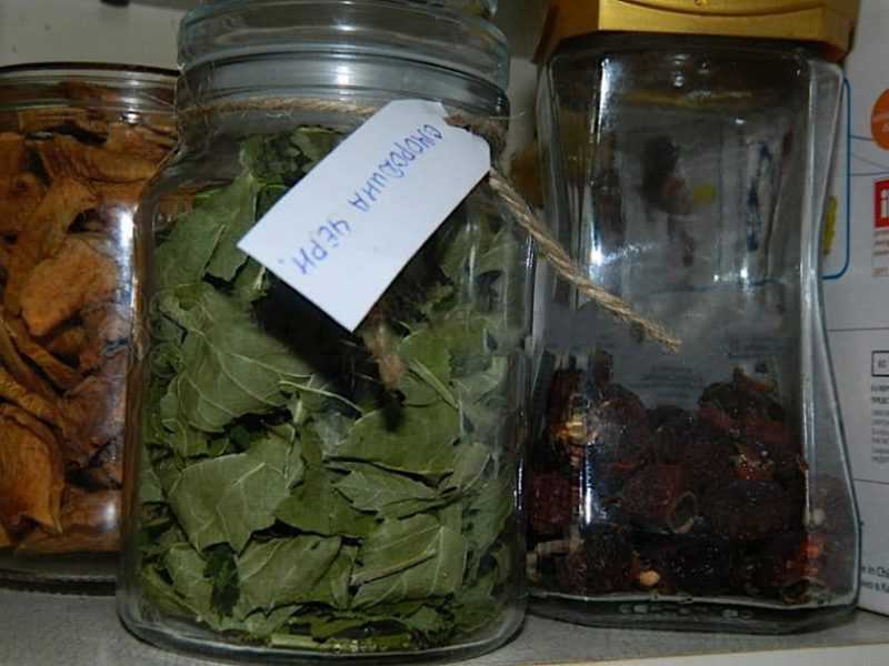 Как приготовить чай из листьев черной смородины и малины, и в чем его польза