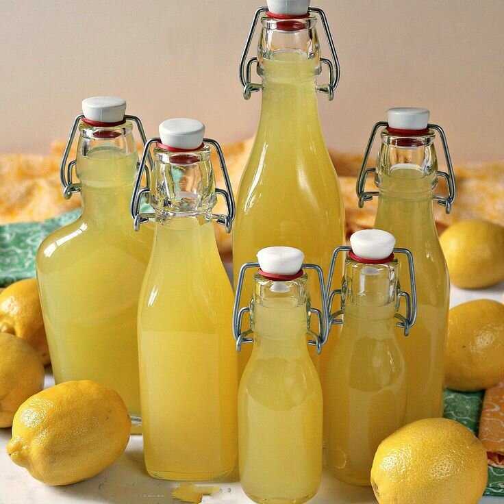 Топ-5 рецептов: домашнего лимончелло (фото & видео) +отзывы