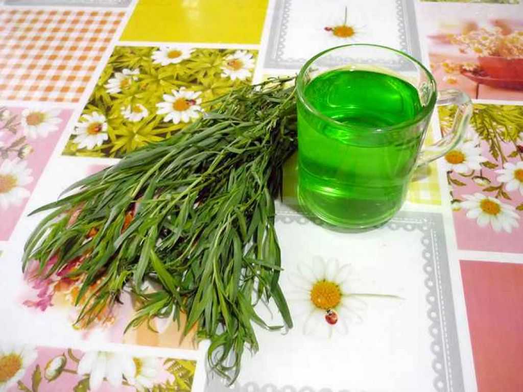 Лимонад тархун – рецепт с фото , как сделать в домашних условиях